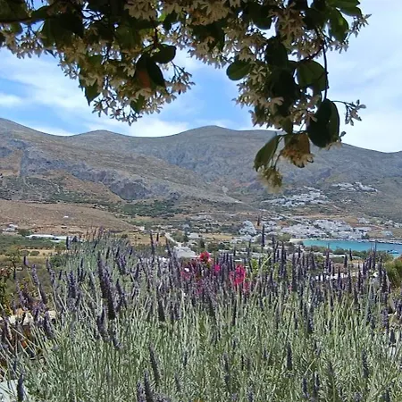 بيت ضيافة Aliori Art Caves 4*