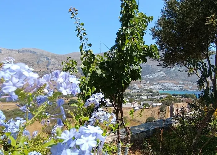 Gasthof Aliori Art Caves