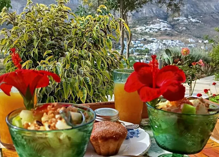 בית הארחה Aliori Art Caves אגיאלי